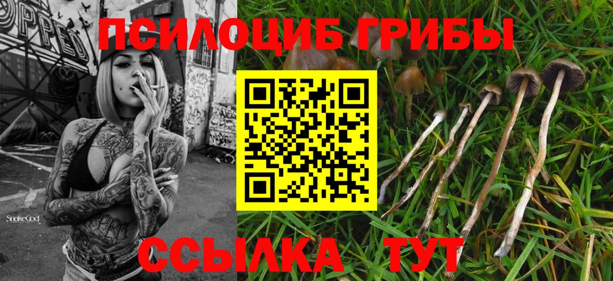 Галлюциногенные грибы GOLDEN TEACHER Учалы