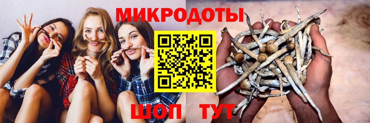 Псилоцибиновые грибы Psilocybine cubensis  Вход с VPN  Учалы 